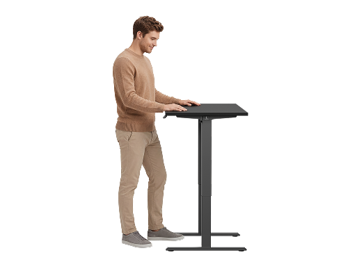 STANDING DESKS